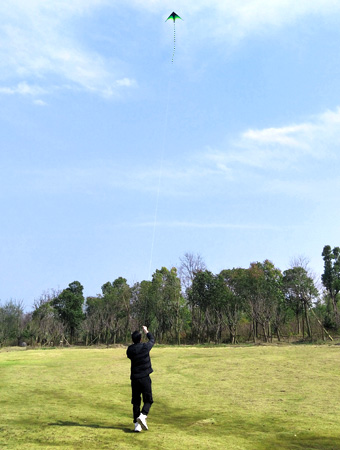 風(fēng)箏3.jpg